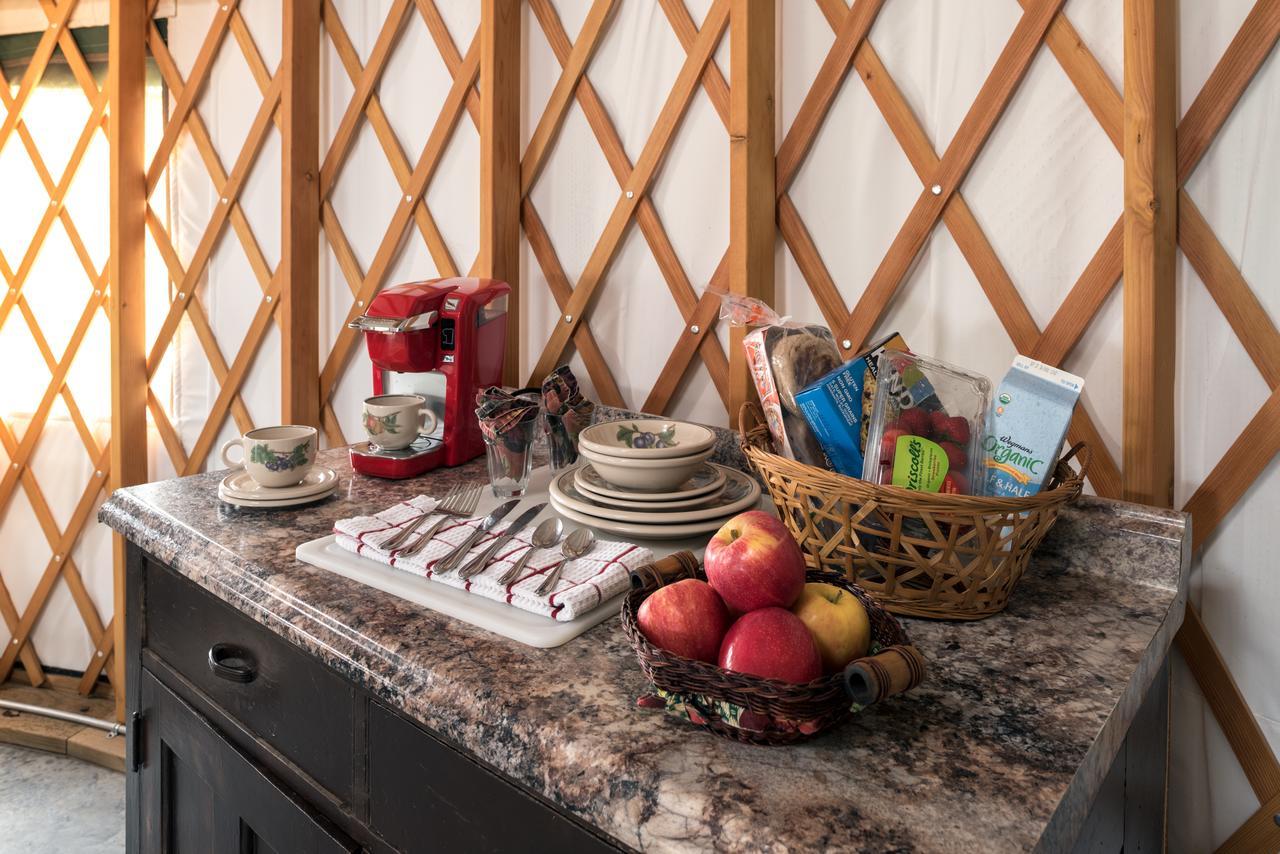 Yale Manor B&B & Yurt Glamping Extérieur photo