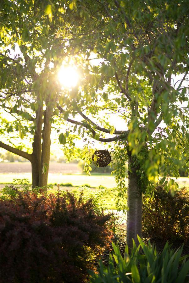 Yale Manor B&B & Yurt Glamping Extérieur photo
