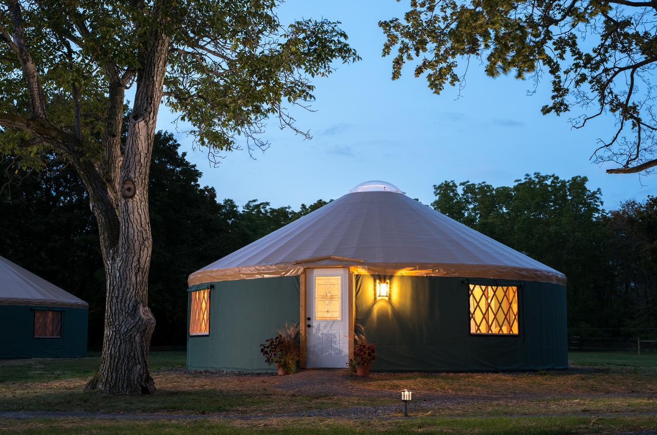 Yale Manor B&B & Yurt Glamping Extérieur photo