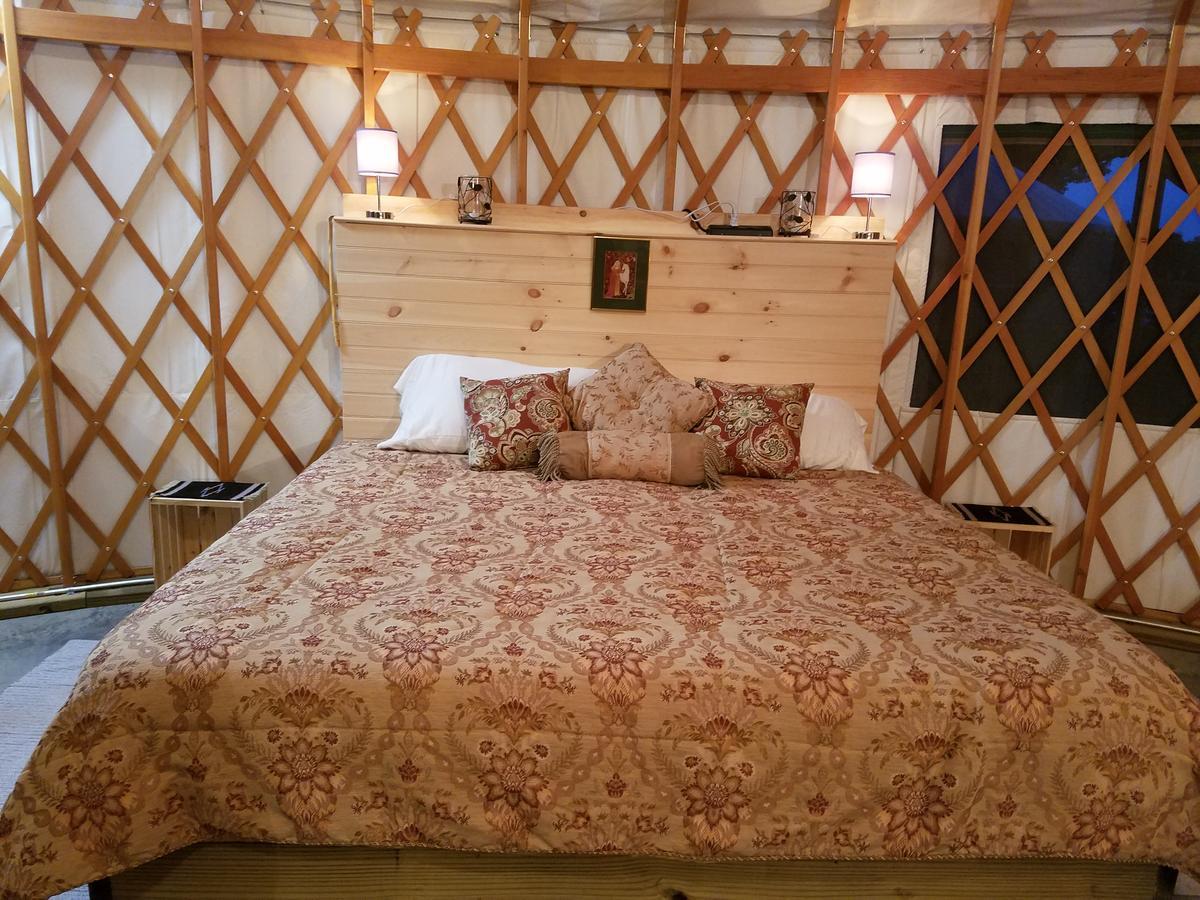 Yale Manor B&B & Yurt Glamping Extérieur photo
